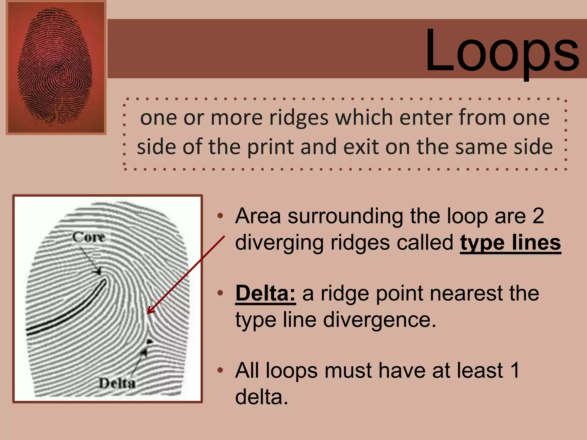 Forensics ch 4 notes