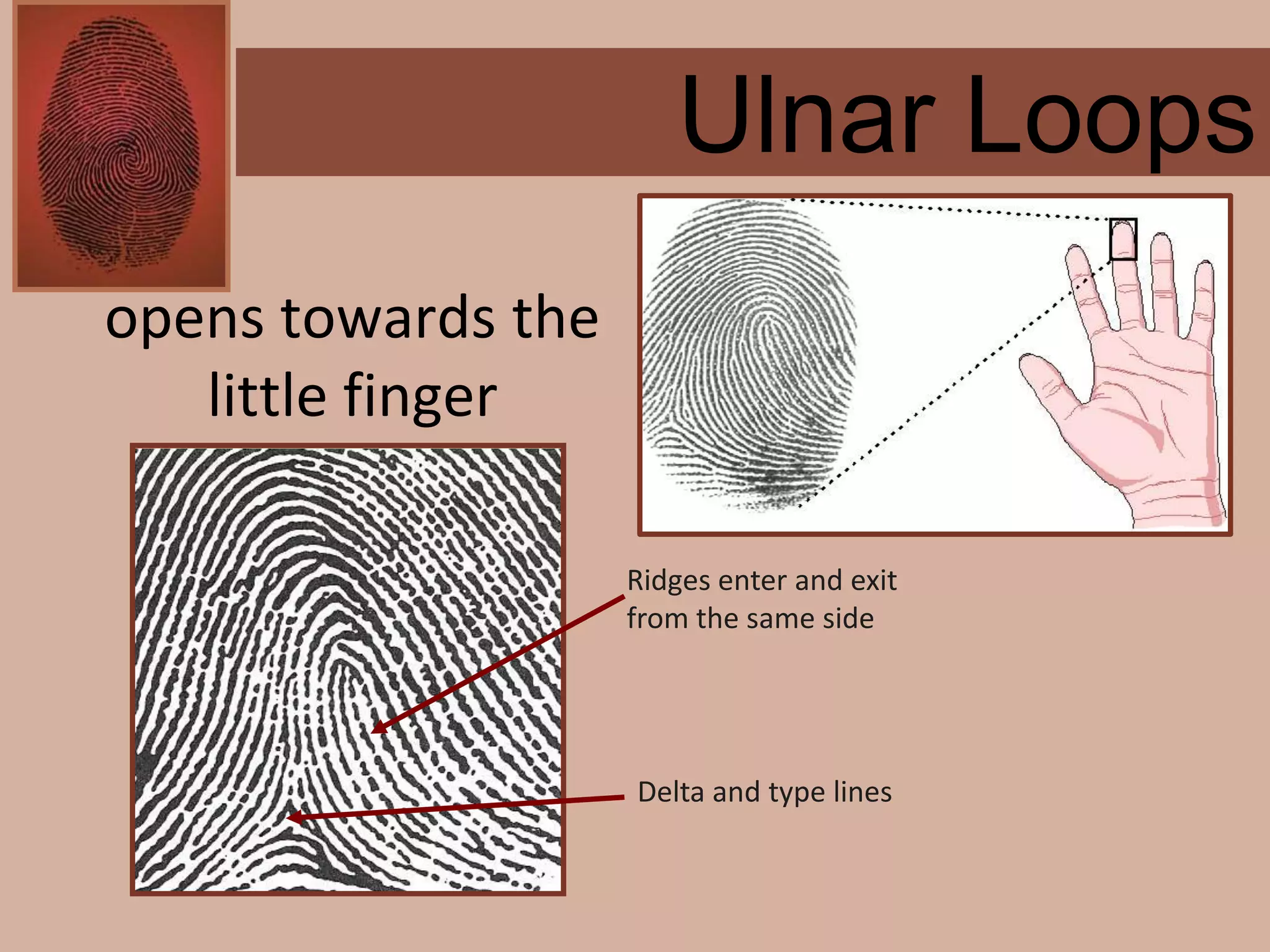 Forensics ch 4 notes