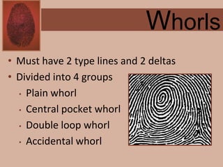 Forensics ch 4 notes