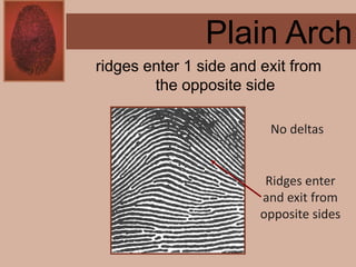 Forensics ch 4 notes