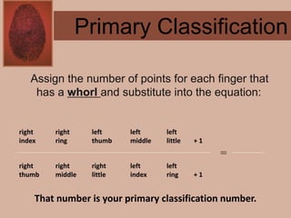 Forensics ch 4 notes