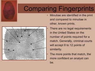 Forensics ch 4 notes