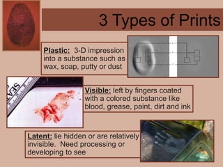 Forensics ch 4 notes
