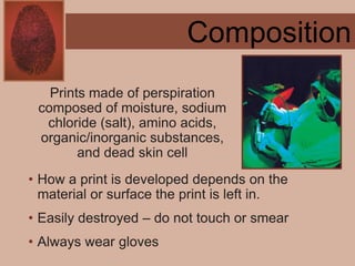 Forensics ch 4 notes