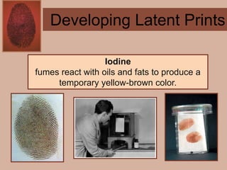 Forensics ch 4 notes