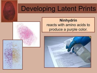 Forensics ch 4 notes