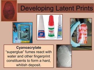 Forensics ch 4 notes