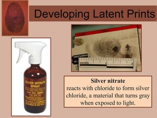 Forensics ch 4 notes
