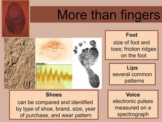 Forensics ch 4 notes