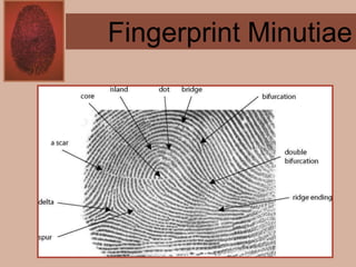 Forensics ch 4 notes