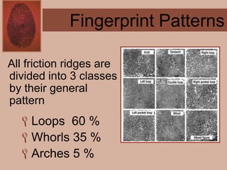 Forensics ch 4 notes