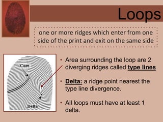 Forensics ch 4 notes