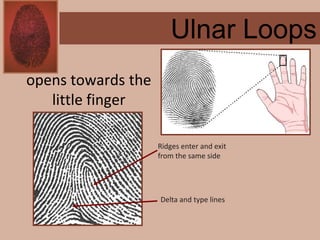 Forensics ch 4 notes