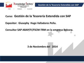Gestión de la Tesorería Extendida con SAP 
Curso: Gestión de la Tesorería Extendida con SAP 
Expositor: Giusephy Hugo Valladares Peña. 
Consultor SAP ABAP/FI/FSCM-TRM en la empresa Belcorp. 
3 de Noviembre del 2014 
 