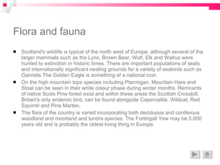 Flora and fauna Scotland's wildlife is typical of the north west of Europe, although several of the larger mammals such as the Lynx, Brown Bear, Wolf, Elk and Walrus were hunted to extinction in historic times. There are important populations of seals and internationally significant nesting grounds for a variety of seabirds such as Gannets.The Golden Eagle is something of a national icon. On the high mountain tops species including Ptarmigan, Mountain Hare and Stoat can be seen in their white colour phase during winter months. Remnants of native Scots Pine forest exist and within these areas the Scottish Crossbill, Britain's only endemic bird, can be found alongside Capercaillie, Wildcat, Red Squirrel and Pine Marten.  The flora of the country is varied incorporating both deciduous and coniferous woodland and moorland and tundra species. The Fortingall Yew may be 5,000 years old and is probably the oldest living thing in Europe. 