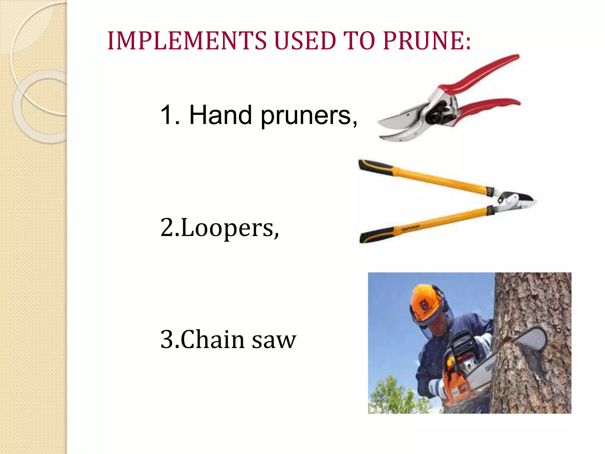 IMPLEMENTS USED TO PRUNE:
1. Hand pruners,
2.Loopers,
3.Chain saw
 