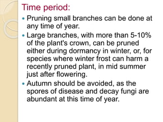 Time period:
 Pruning small branches can be done at
any time of year.
 Large branches, with more than 5-10%
of the plant's crown, can be pruned
either during dormancy in winter, or, for
species where winter frost can harm a
recently pruned plant, in mid summer
just after flowering.
 Autumn should be avoided, as the
spores of disease and decay fungi are
abundant at this time of year.
 