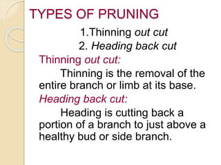 TYPES OF PRUNING
1.Thinning out cut
2. Heading back cut
Thinning out cut:
Thinning is the removal of the
entire branch or limb at its base.
Heading back cut:
Heading is cutting back a
portion of a branch to just above a
healthy bud or side branch.
 
