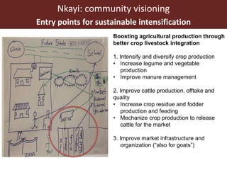 Assessing options for crop-livestock intensification in semi-arid Southern Zimbabwe: household typologies and community visions