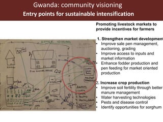 Assessing options for crop-livestock intensification in semi-arid Southern Zimbabwe: household typologies and community visions