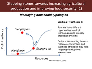 Assessing options for crop-livestock intensification in semi-arid Southern Zimbabwe: household typologies and community visions