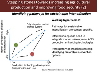 Assessing options for crop-livestock intensification in semi-arid Southern Zimbabwe: household typologies and community visions