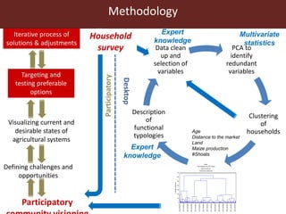 Assessing options for crop-livestock intensification in semi-arid Southern Zimbabwe: household typologies and community visions
