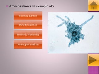 Holozoic Example heterotrophic nutrition | PPSX