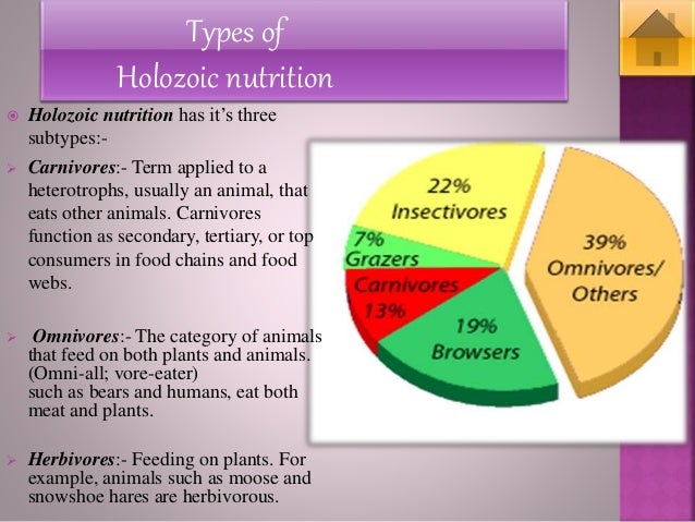 heterotrophic nutrition