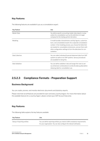 Feature Scope Description Technology and Functional | PDF