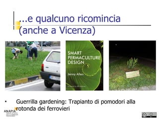 ...e qualcuno ricomincia  (anche a Vicenza) Guerrilla gardening: Trapianto di pomodori alla rotonda dei ferrovieri 