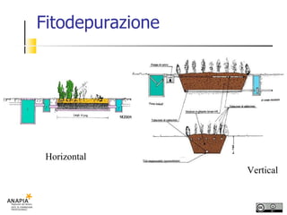 Fitodepurazione Horizontal Vertical  