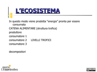 L’ECOSISTEMA In questo modo viene prodotta “energia” pronta per essere consumata CATENA ALIMENTARE (struttura trofica) produttore consumatore 1  consumatore 2  LIVELLI TROFICI consumatore 3 decompositori 
