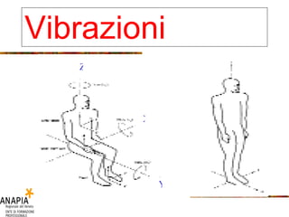 Z X Y Vibrazioni 