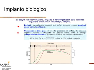 Impianto biologico 