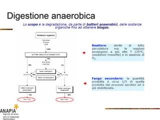 Digestione anaerobica 