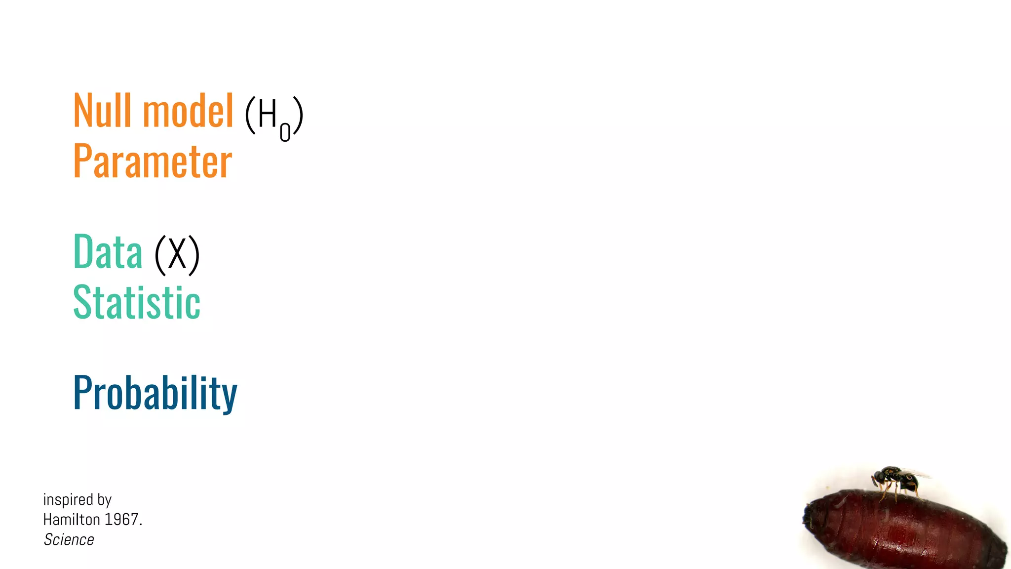 Null model (H0
)
Parameter
Data (X)
Statistic
Probability
inspired by
Hamilton 1967.
Science
 