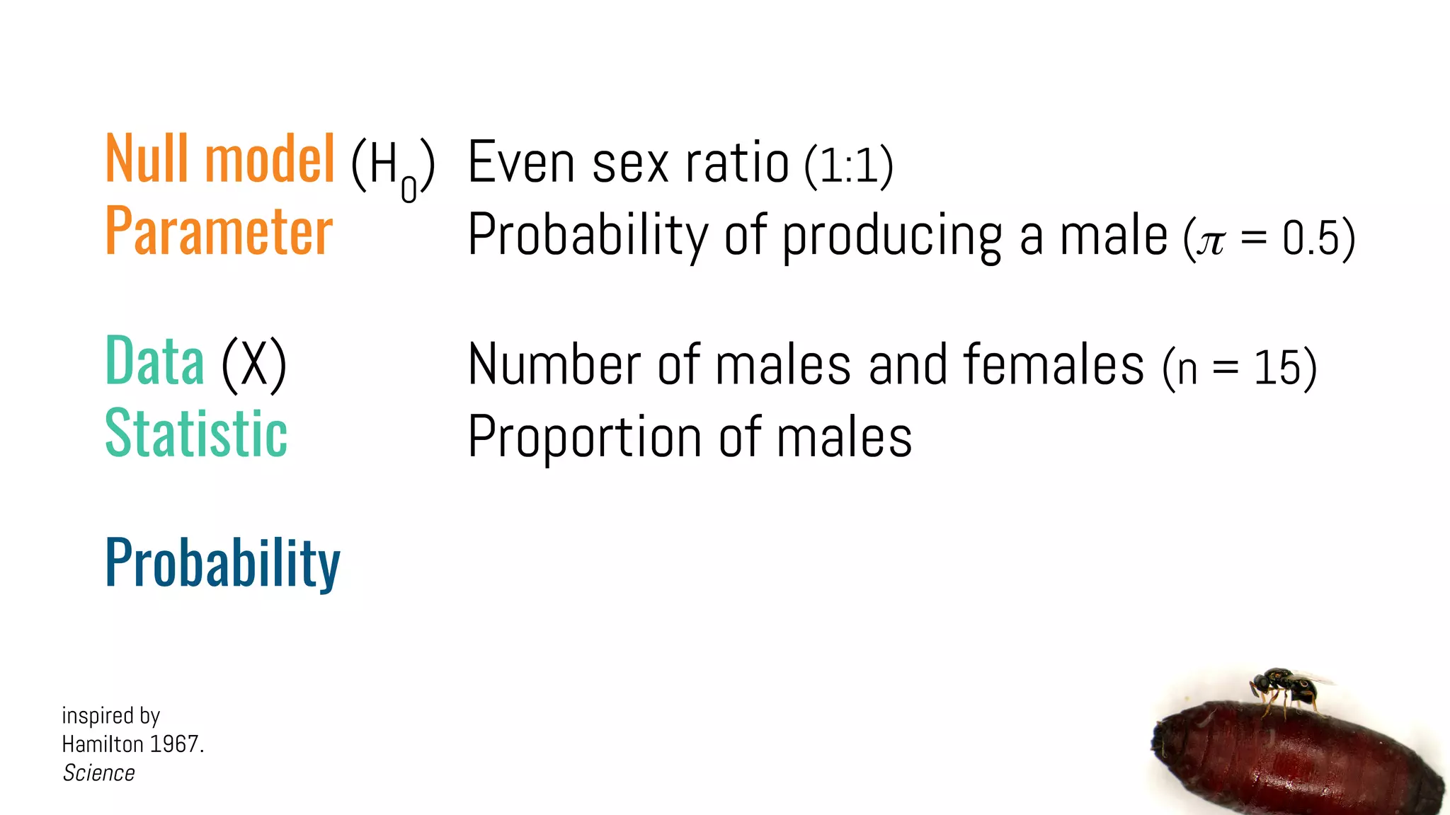 Null model (H0
) Even sex ratio (1:1)
Parameter Probability of producing a male ( = 0.5)
Data (X) Number of males and females (n = 15)
Statistic Proportion of males
Probability
inspired by
Hamilton 1967.
Science
 