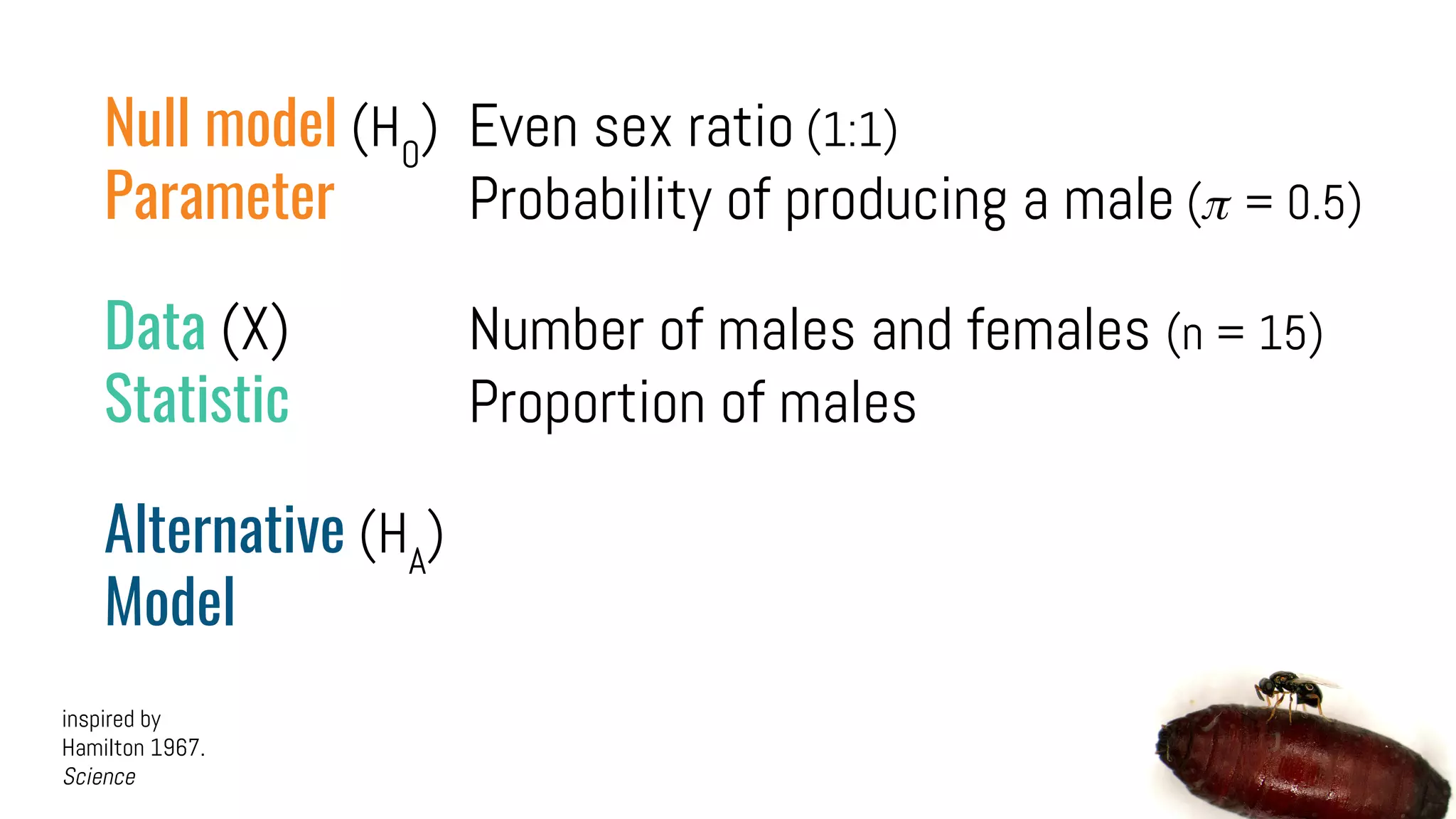 Null model (H0
) Even sex ratio (1:1)
Parameter Probability of producing a male ( = 0.5)
Data (X) Number of males and females (n = 15)
Statistic Proportion of males
Alternative (HA
)
Model
inspired by
Hamilton 1967.
Science
 