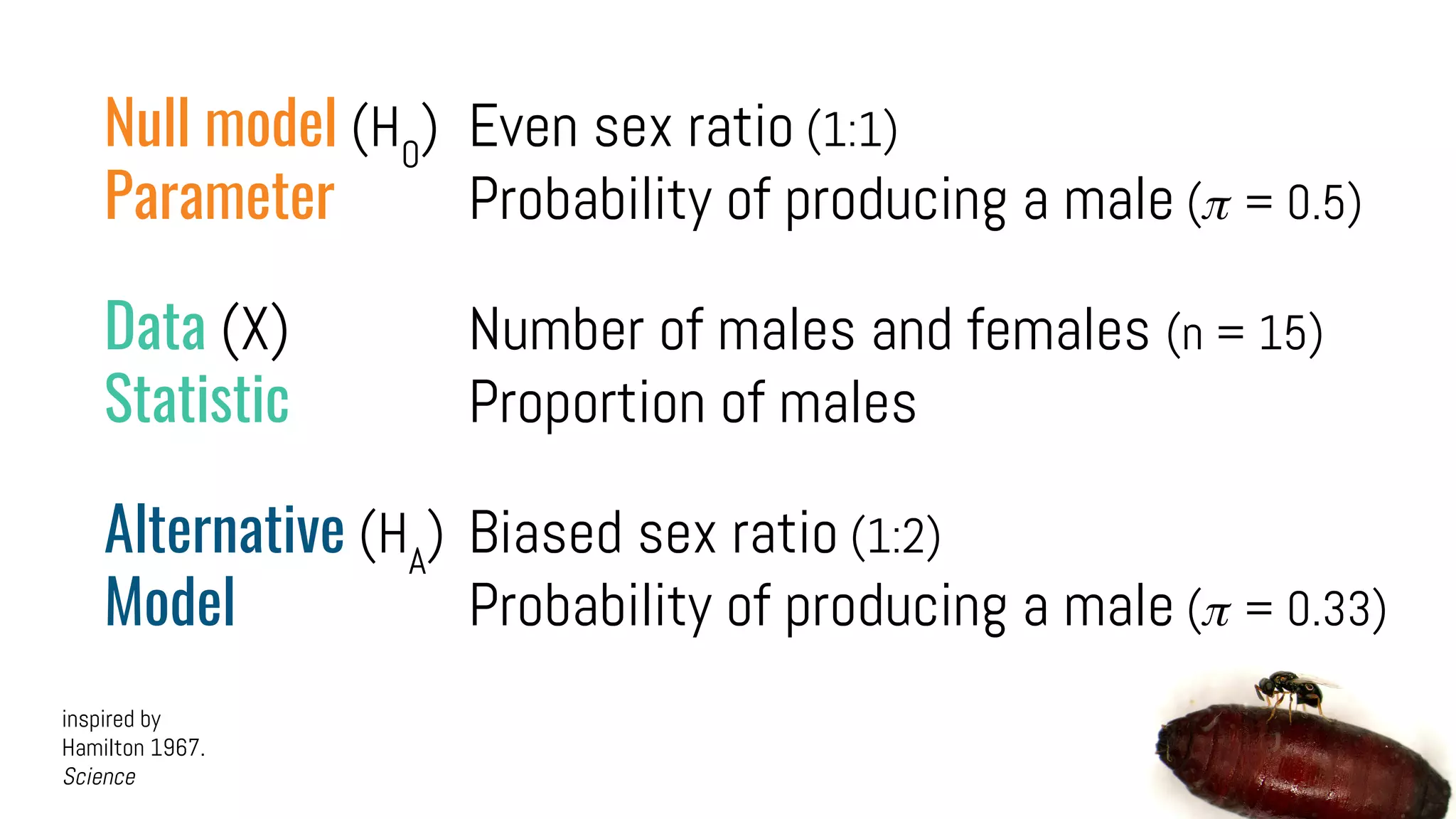 Null model (H0
) Even sex ratio (1:1)
Parameter Probability of producing a male ( = 0.5)
Data (X) Number of males and females (n = 15)
Statistic Proportion of males
Alternative (HA
) Biased sex ratio (1:2)
Model Probability of producing a male ( = 0.33)
inspired by
Hamilton 1967.
Science
 