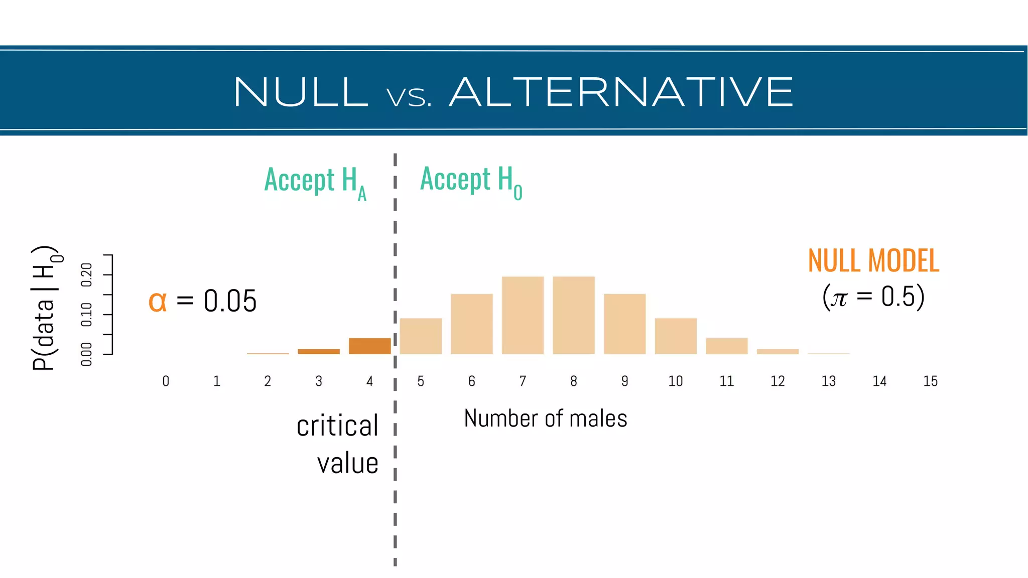 NULL vs. ALTERNATIVE
α = 0.05
P(data|H0
)
critical
value
NULL MODEL
( = 0.5)
Number of males
Accept HA
Accept H0
 