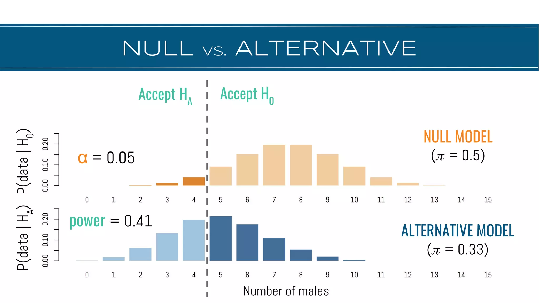 NULL vs. ALTERNATIVE
α = 0.05
P(data|H0
)
NULL MODEL
( = 0.5)
power = 0.41
Number of males
ALTERNATIVE MODEL
( = 0.33)
Accept HA
Accept H0
P(data|HA
)
 