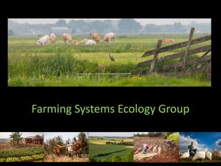 Farming Systems Ecology Group
 