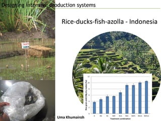 Farming Systems Ecology Group