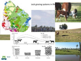 Farming Systems Ecology Group