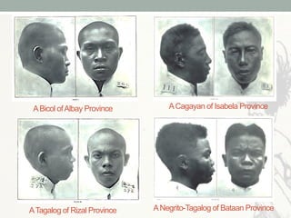 ABicol ofAlbay Province ACagayan of Isabela Province
ATagalog of Rizal Province ANegrito-Tagalog of Bataan Province
 