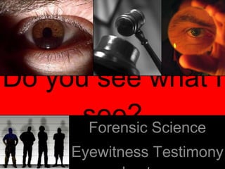Do you see what I see? Forensic Science Eyewitness Testimony Lecture 