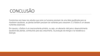 CONCLUSÃO
Concluímos com base nos estudos que como os humanos precisam de uma dieta equilibrada para se
manterem saudáveis, as plantas também precisam de nutrientes para crescerem. E o fósforo é um desses
nutrientes essenciais.
Em resumo, o fósforo é um macronutriente primário, ou seja, um elemento vital para o desenvolvimento
saudável das plantas, contribuindo para seu crescimento, na produção de energia e na resistência a
doenças
 