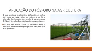 APLICAÇÃO DO FÓSFORO NA AGRICULTURA
•O solo brasileiro geralmente é deficiente em fósforo
por conta de suas rochas de origem e da forte
interação do elemento com o solo, já que menos de
0,1% do P do solo não está disponível para as plantas.
•Por isso, em muitos casos, é necessário fazer a
aplicação deste nutriente para garantir uma plantação
mais produtiva.
 