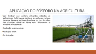 APLICAÇÃO DO FÓSFORO NA AGRICULTURA
•Vale lembrar que existem diferentes métodos de
aplicação de fósforo para plantas e a escolha do método
depende das características da cultura, do tipo de solo e
das condições climáticas. Neste caso, destacamos as
maneiras mais comuns:
•Adubação na semeadura;
•Adubação foliar;
•Fertirrigação.
 